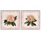 Stupell Industries Pink Vintage Pattern Botanicals 2pc Framed Giclee Set, design by Livi Finn